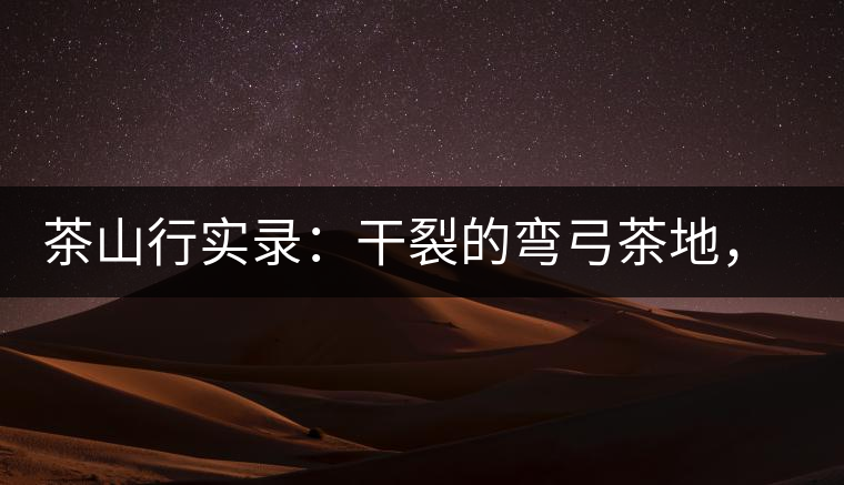 茶山行實錄：干裂的彎弓茶地，干旱減產(chǎn)已成定局