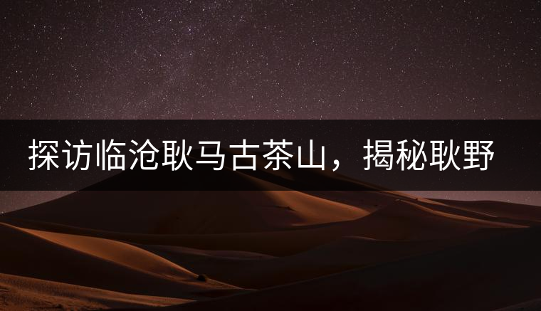 探訪臨滄耿馬古茶山，揭秘耿野生古茶樹群落