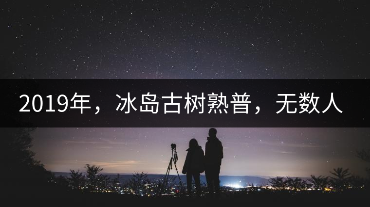 2019年，冰島古樹熟普，無數(shù)人在尋找