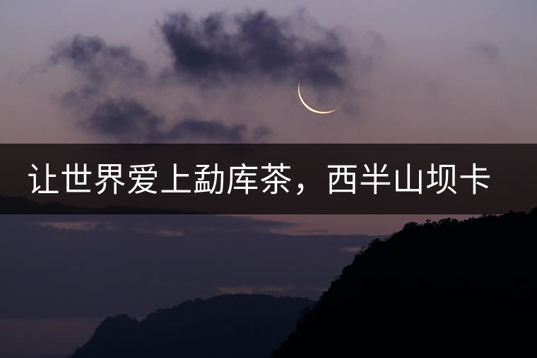 讓世界愛(ài)上勐庫(kù)茶，西半山壩卡古樹(shù)茶特點(diǎn)介紹