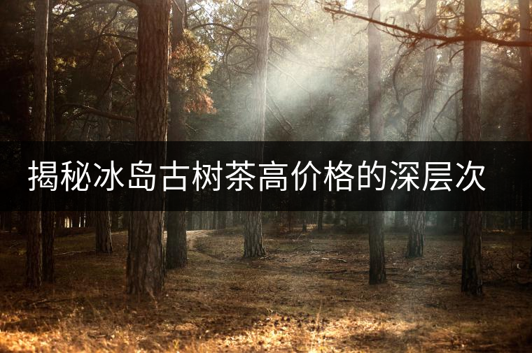 揭秘冰島古樹茶高價(jià)格的深層次原因