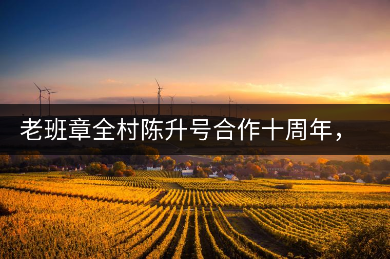 老班章全村陳升號合作十周年，贈送千兩百家茶