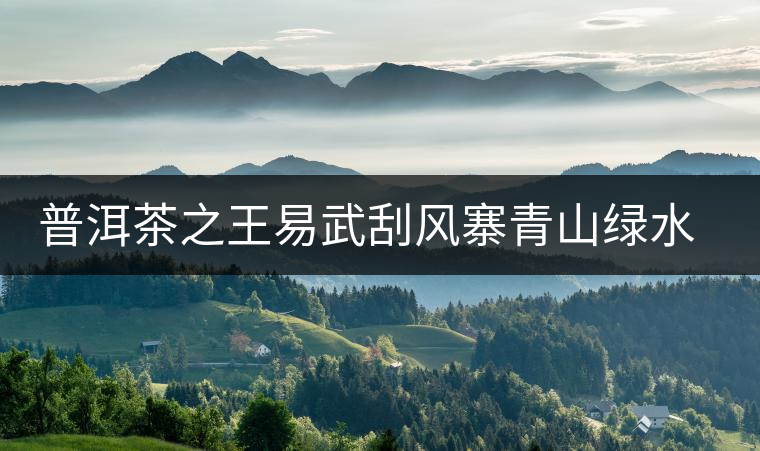 普洱茶之王易武刮風(fēng)寨青山綠水環(huán)繞的古茶園