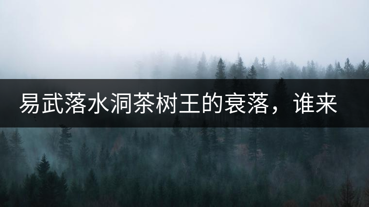 易武落水洞茶樹王的衰落，誰來關(guān)注古樹茶？