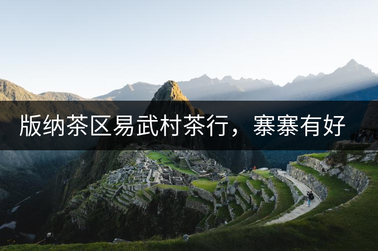 版納茶區(qū)易武村茶行，寨寨有好茶處處古茶香