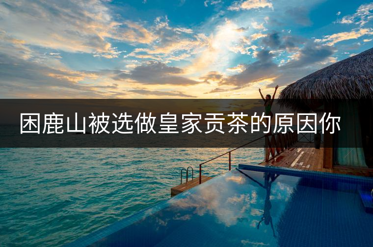 困鹿山被選做皇家貢茶的原因你了解嗎？