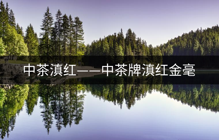 中茶滇紅——中茶牌滇紅金毫