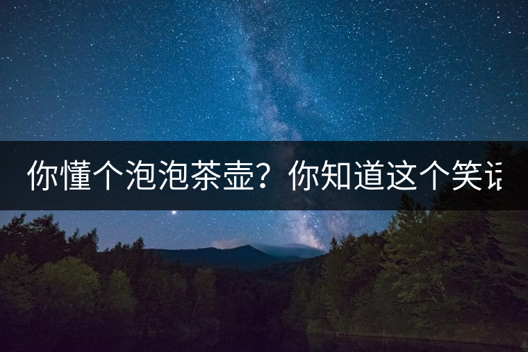 你懂個泡泡茶壺？你知道這個笑話嗎？