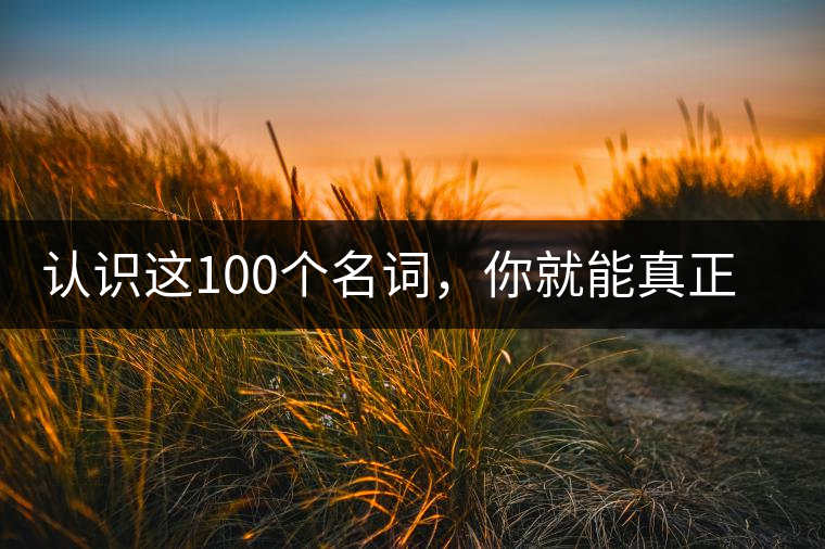 認(rèn)識這100個名詞，你就能真正了解普洱茶？