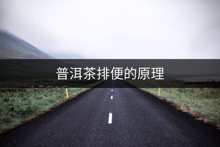 普洱茶排便的原理 普洱茶排便的原理