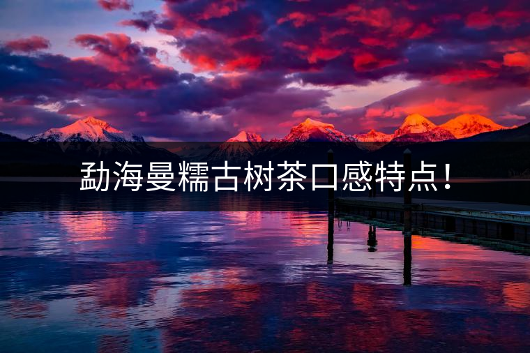 勐海曼糯古樹茶口感特點！