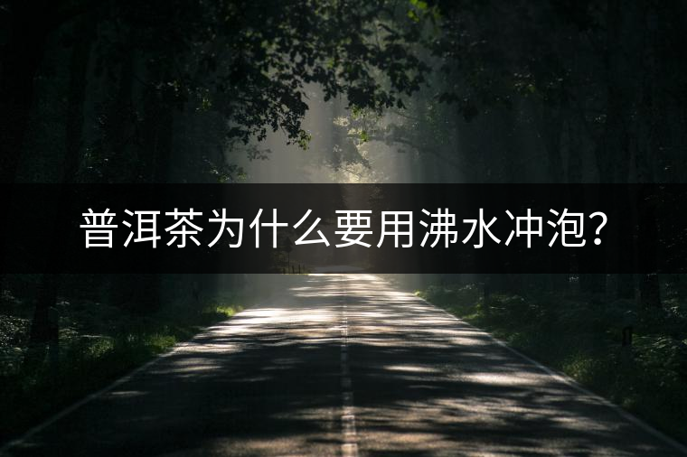 普洱茶為什么要用沸水沖泡？
