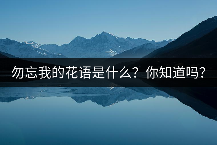 勿忘我的花語是什么？你知道嗎？
