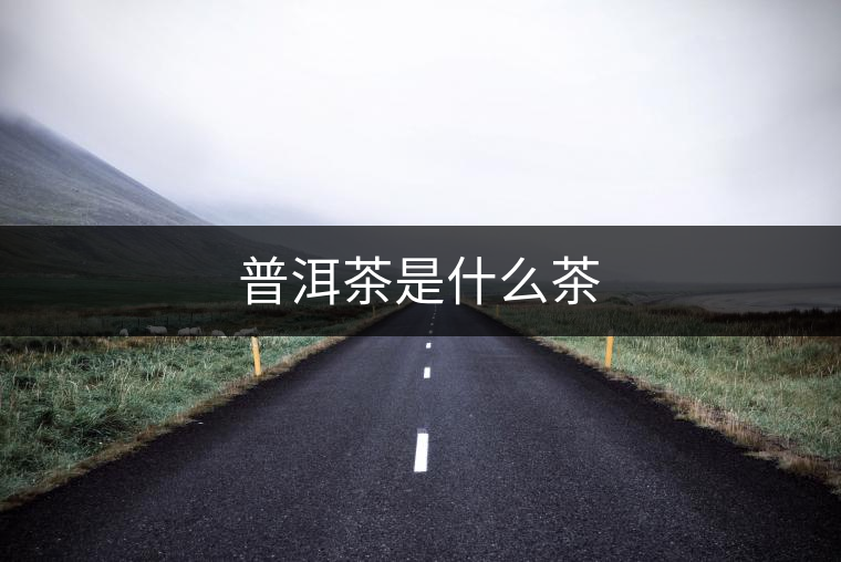 普洱茶是什么茶