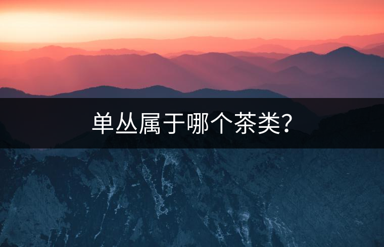 單叢屬于哪個(gè)茶類？