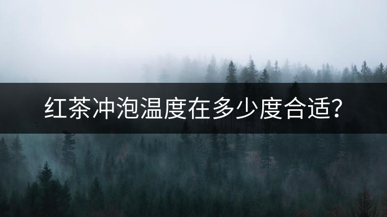 紅茶沖泡溫度在多少度合適？