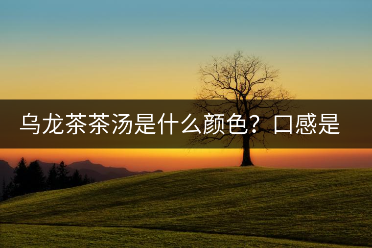 烏龍茶茶湯是什么顏色？口感是什么？