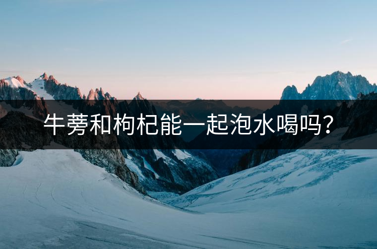 牛蒡和枸杞能一起泡水喝嗎？