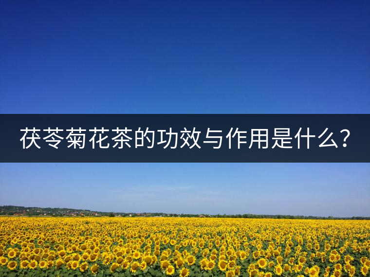 茯苓菊花茶的功效與作用是什么？