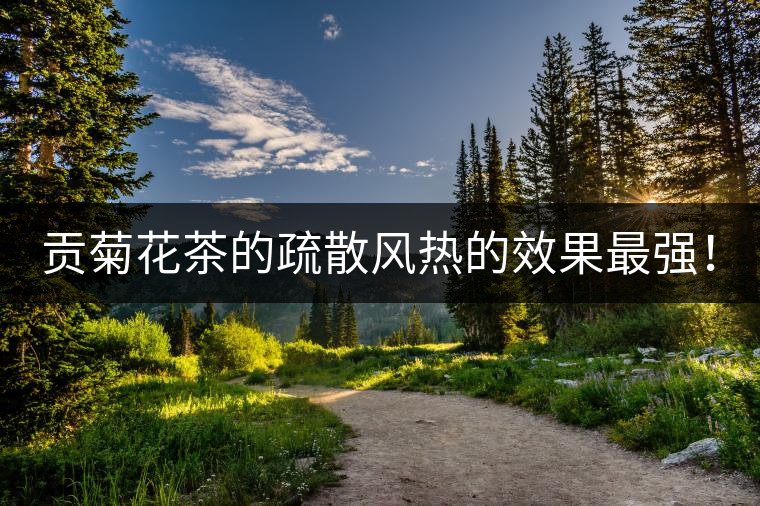 貢菊花茶的疏散風(fēng)熱的效果最強(qiáng)！