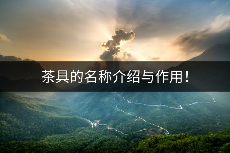 茶具的名稱介紹與作用！