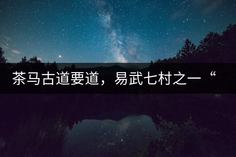 茶馬古道要道，易武七村之一“張家灣”古茶園