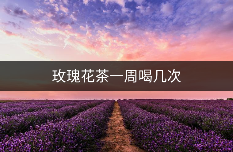 玫瑰花茶一周喝幾次