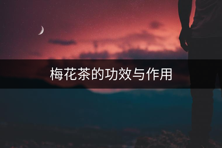 梅花茶的功效與作用 梅花茶的功效與作用