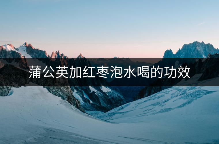 蒲公英加紅棗泡水喝的功效
