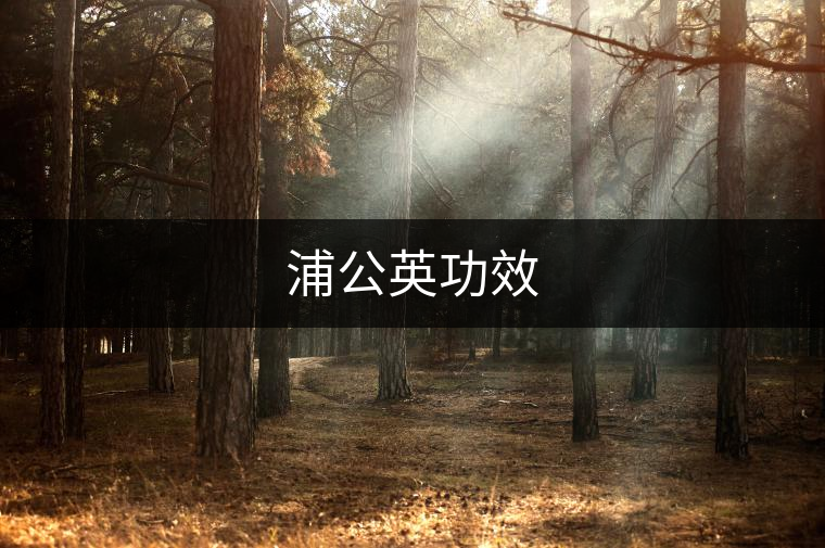浦公英功效