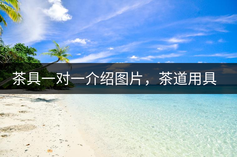 茶具一對(duì)一介紹圖片，茶道用具圖解