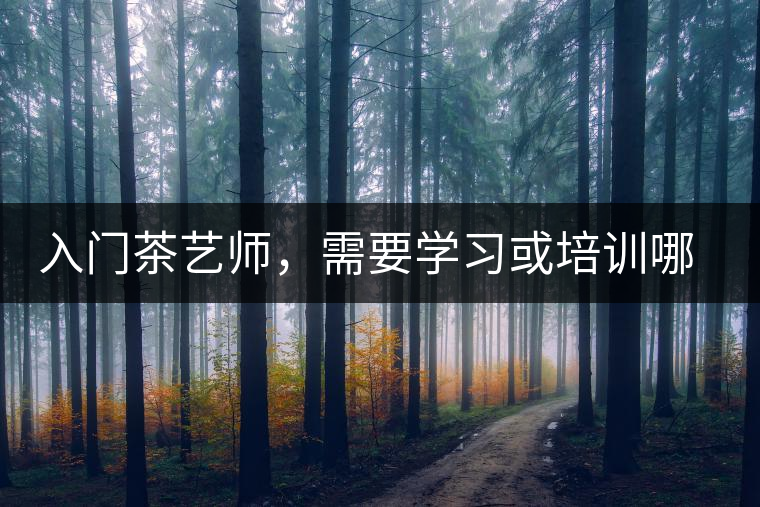 入門(mén)茶藝師，需要學(xué)習(xí)或培訓(xùn)哪些知識(shí)