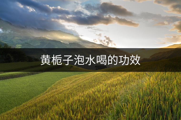 黃梔子泡水喝的功效