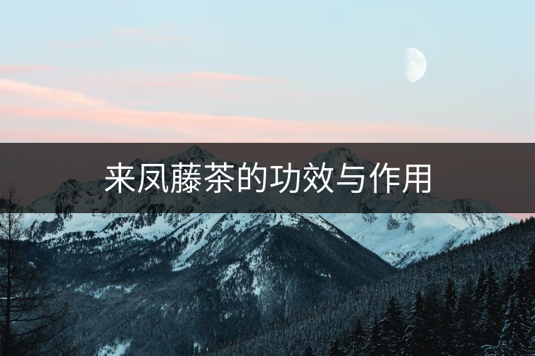 來鳳藤茶的功效與作用