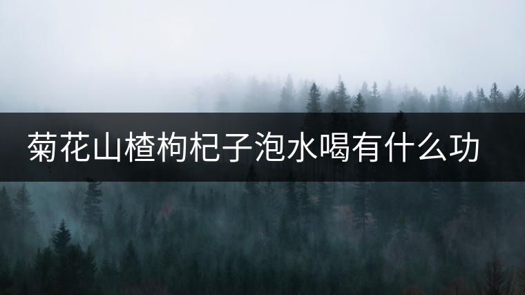 菊花山楂枸杞子泡水喝有什么功效