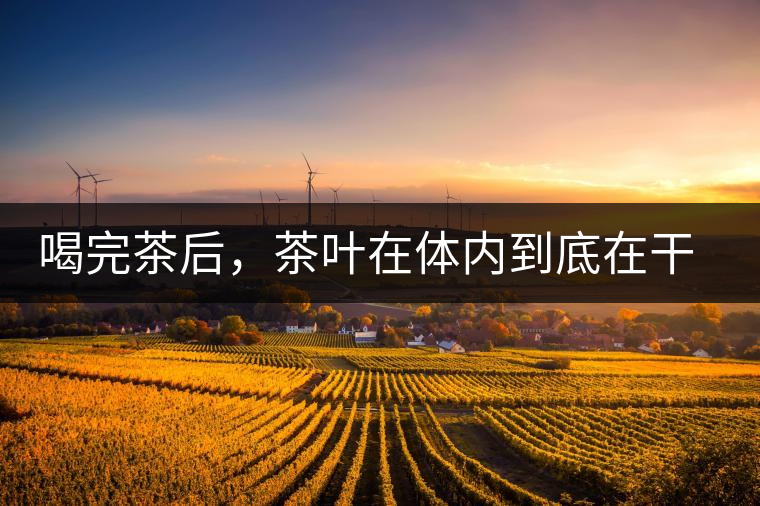 喝完茶后，茶葉在體內(nèi)到底在干嘛，游走的茶水