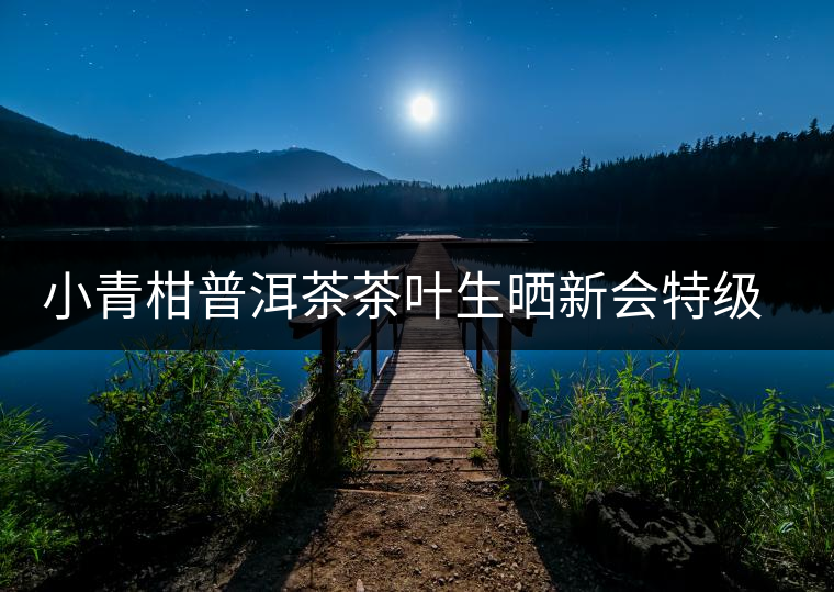 小青柑普洱茶茶葉生曬新會(huì)特級(jí)柑普云南陳年熟茶陳皮桔普禮盒裝