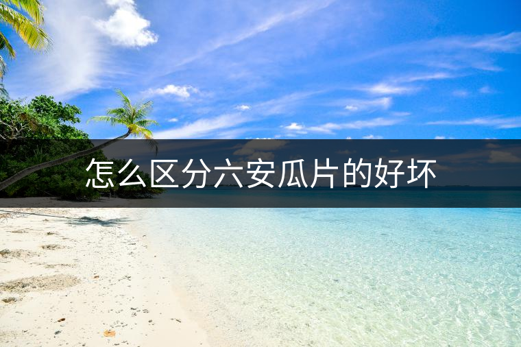 怎么區(qū)分六安瓜片的好壞