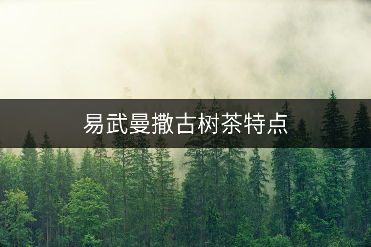 易武曼撒古樹茶特點
