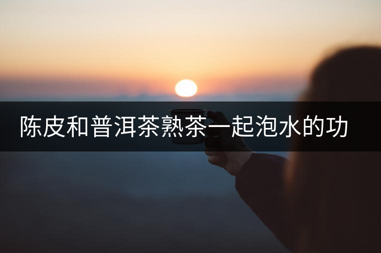 陳皮和普洱茶熟茶一起泡水的功效