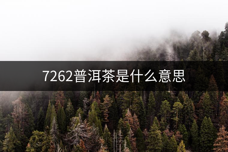 7262普洱茶是什么意思