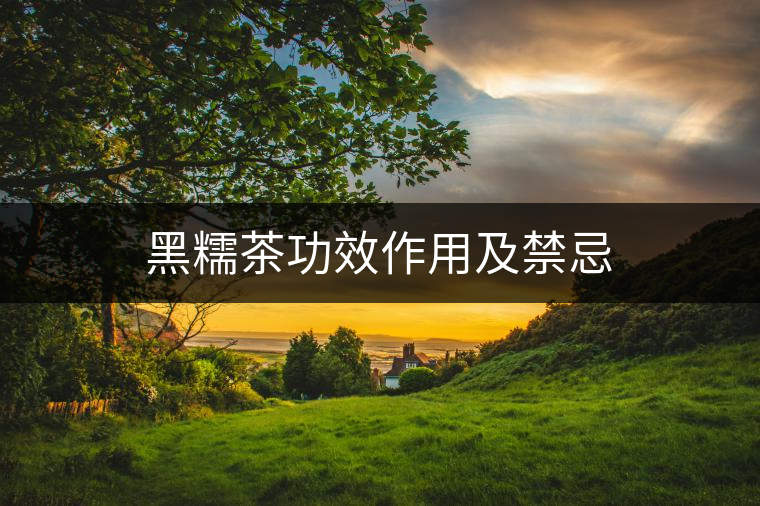 黑糯茶功效作用及禁忌