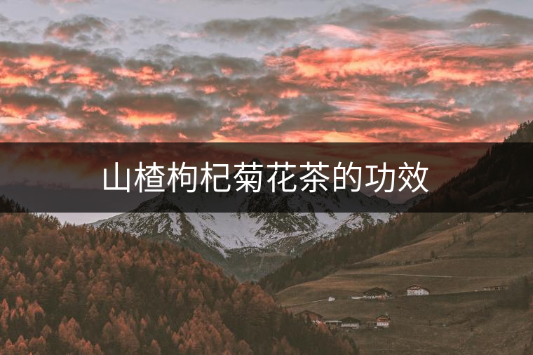 山楂枸杞菊花茶的功效