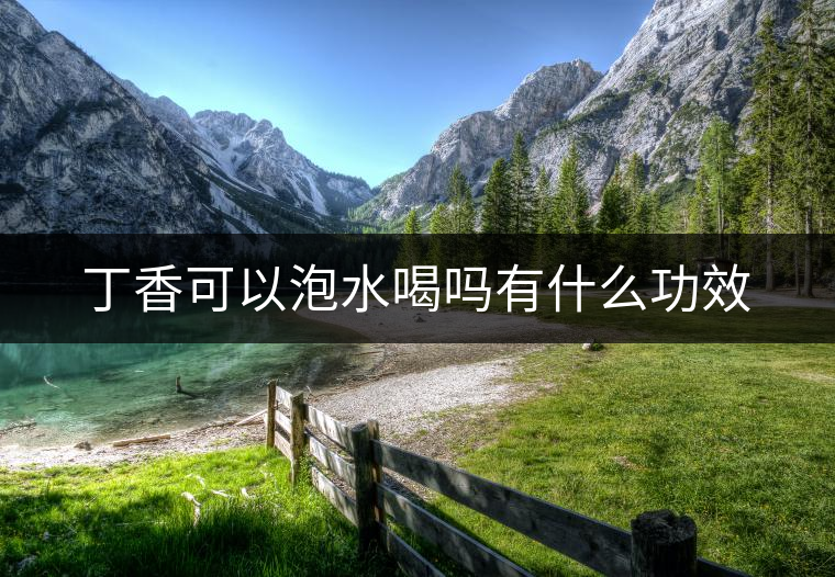 丁香可以泡水喝嗎有什么功效