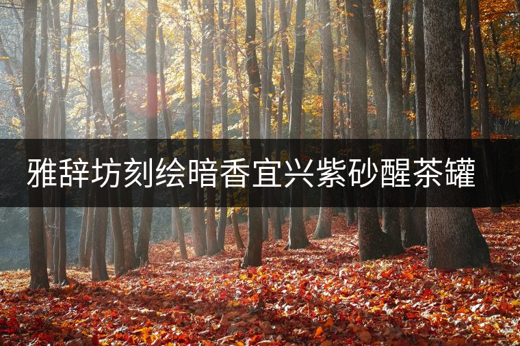 雅辭坊刻繪暗香宜興紫砂醒茶罐茶葉罐家用密封罐普洱儲存茶罐茶盒 雅辭坊刻繪暗香宜興紫砂醒茶罐茶葉罐家用密封罐普洱儲存茶罐茶盒