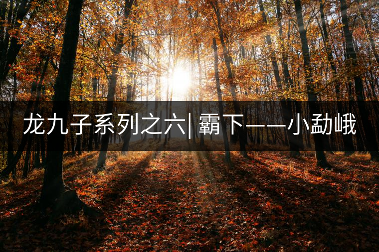 龍九子系列之六| 霸下——小勐峨