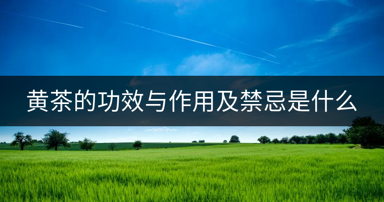 黃茶的功效與作用及禁忌是什么