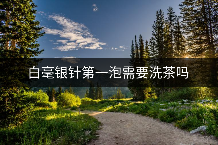 白毫銀針第一泡需要洗茶嗎
