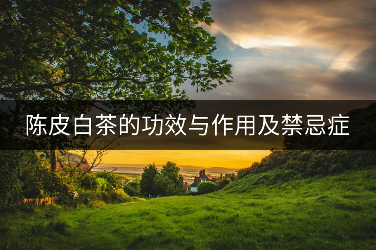 陳皮白茶的功效與作用及禁忌癥 陳皮白茶的功效與作用及禁忌癥