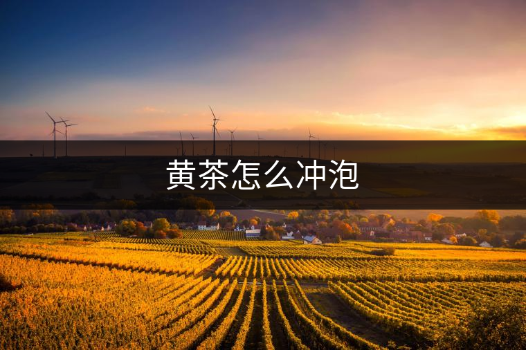 黃茶怎么沖泡